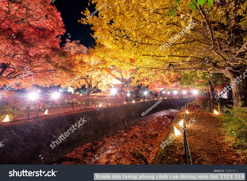 Tranh dán tường phong cảnh con đường mùa thu T321-314